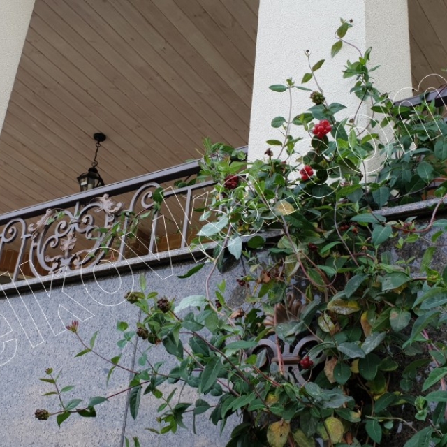 Fencing on the terrace