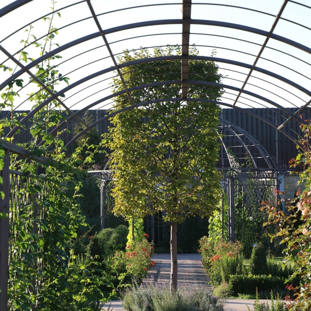 Arch for flowers